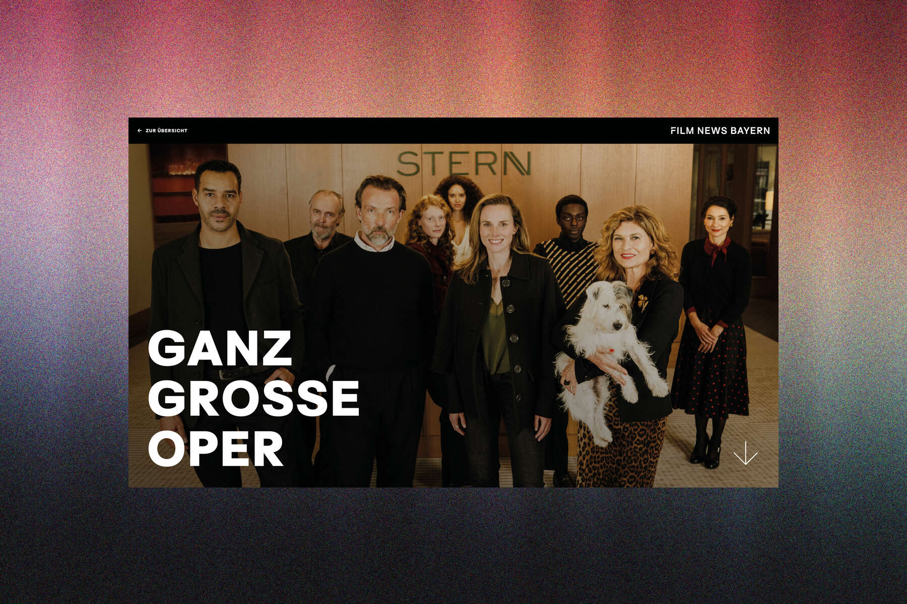 FFF Bayern - Website - Filmnews