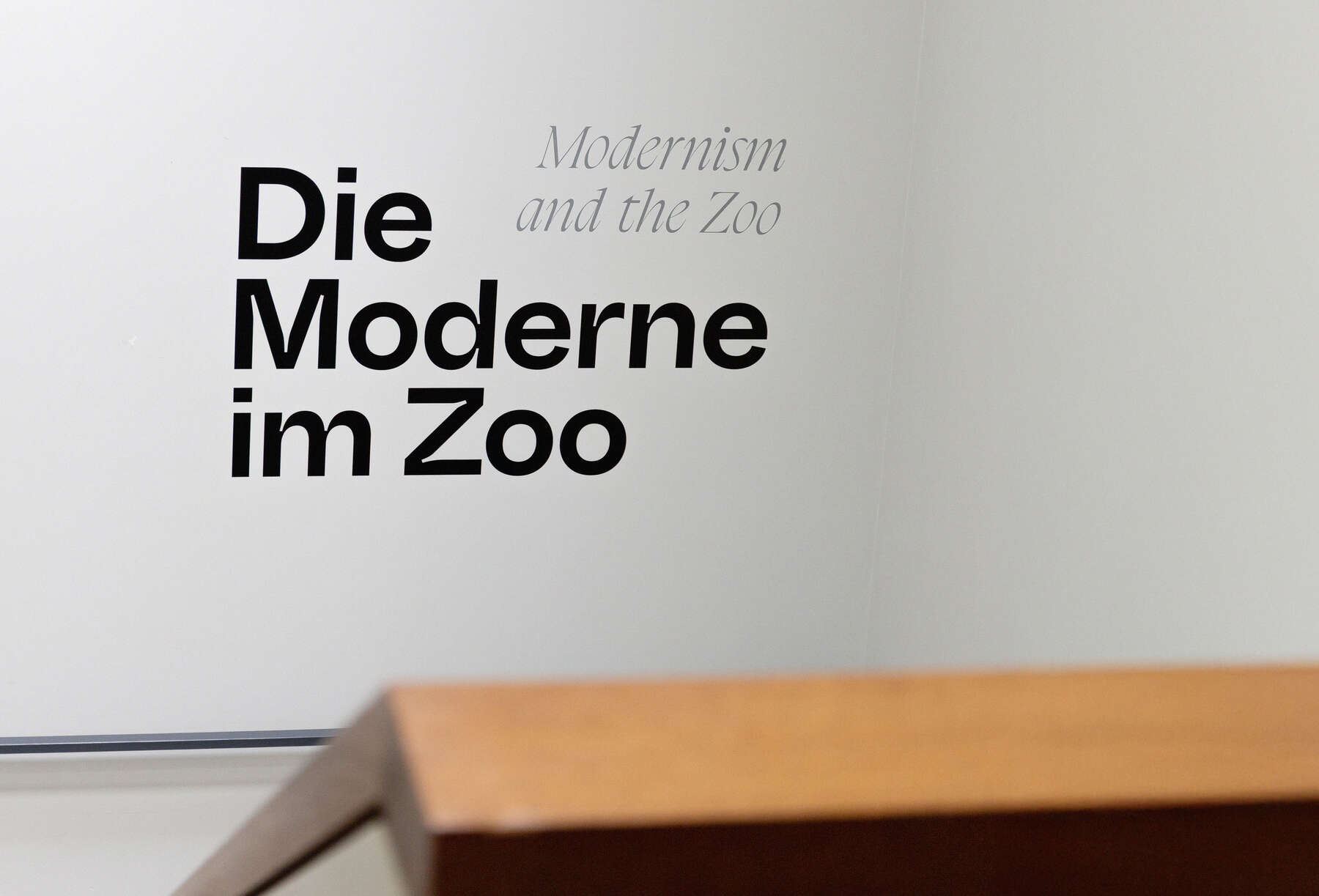 Franz Marc Museum – Wandbeschriftung – Die Moderne im Zoo