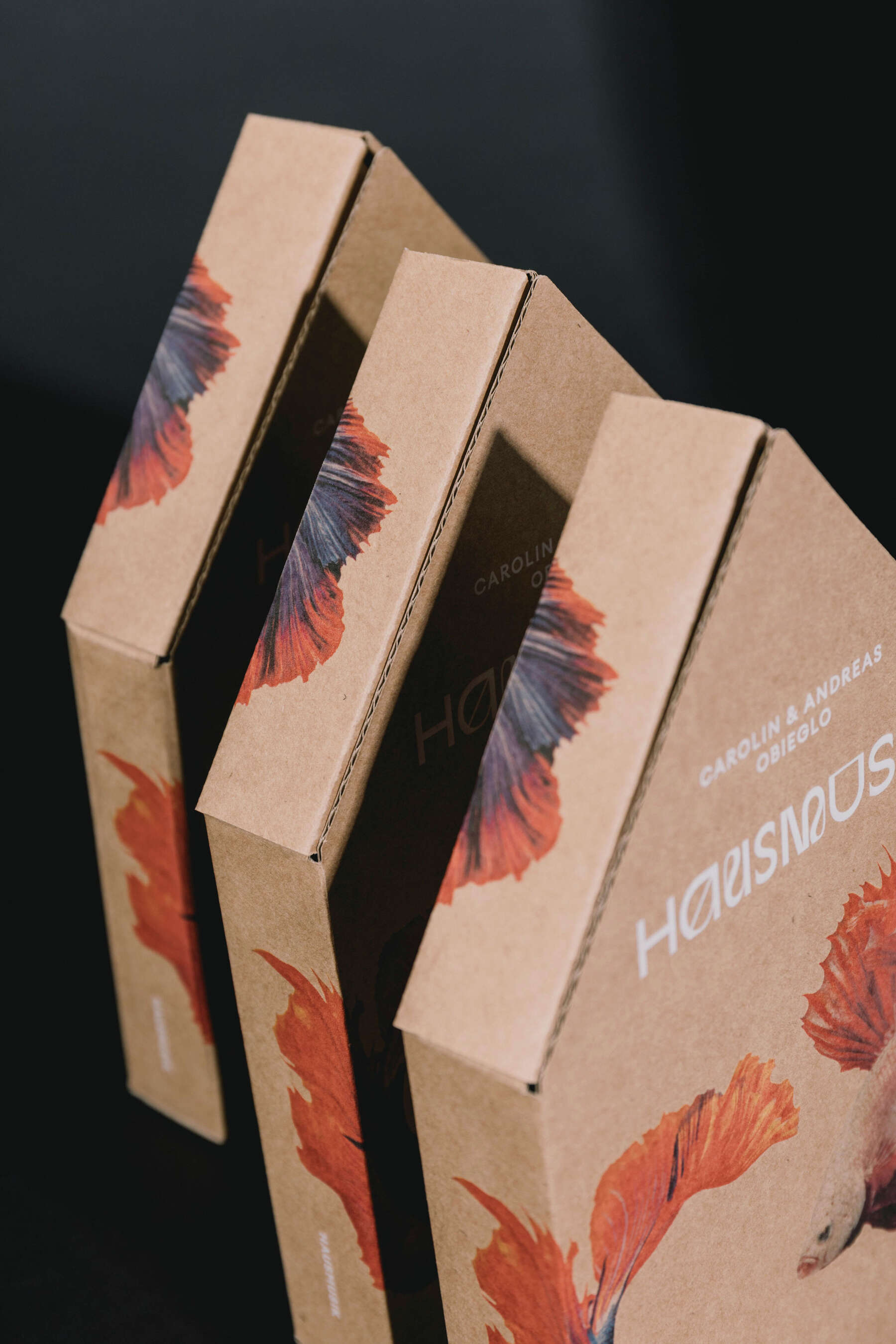 Carolin & Andreas Obieglo – Hausmusik – Schachtel Detail