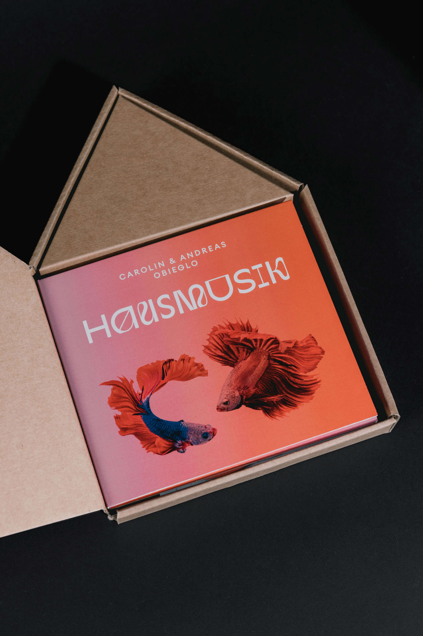 Carolin & Andreas Obieglo – Hausmusik – Schachtel offen