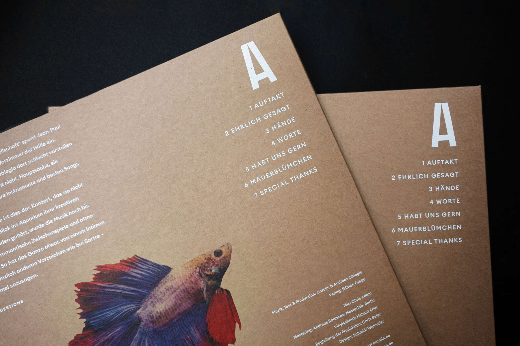Carolin & Andreas Obieglo – Hausmusik – Vinyl Detail